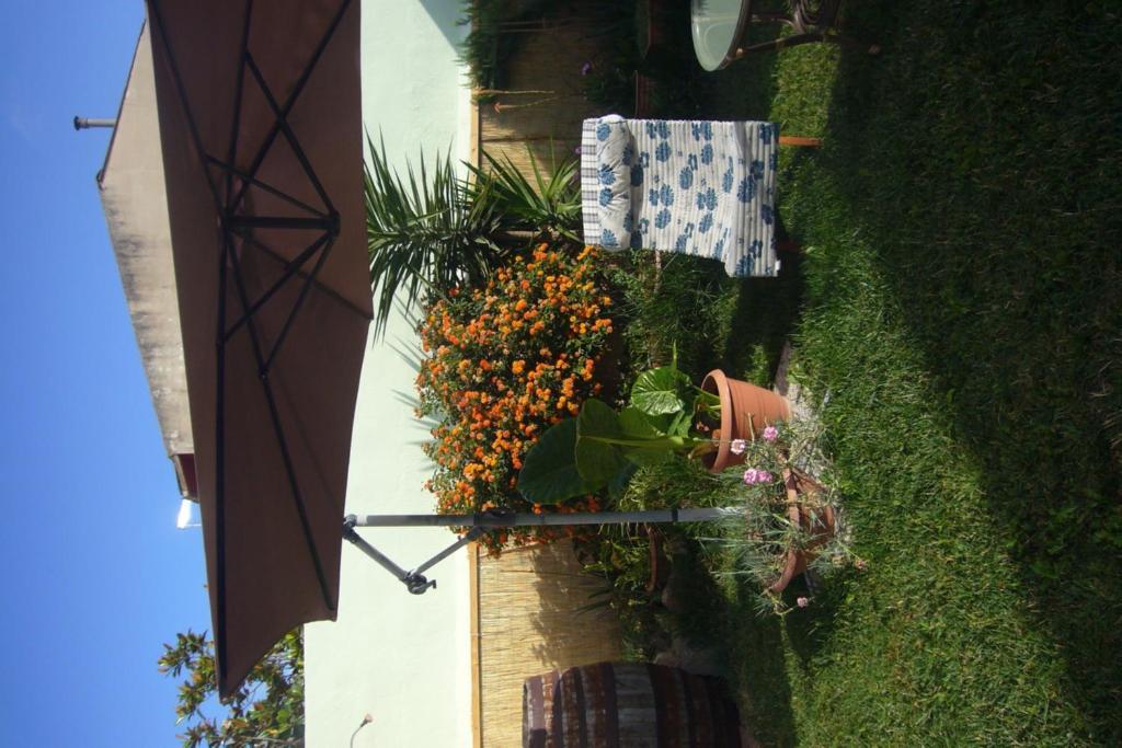 Lanita B&B Cabras Exterior foto